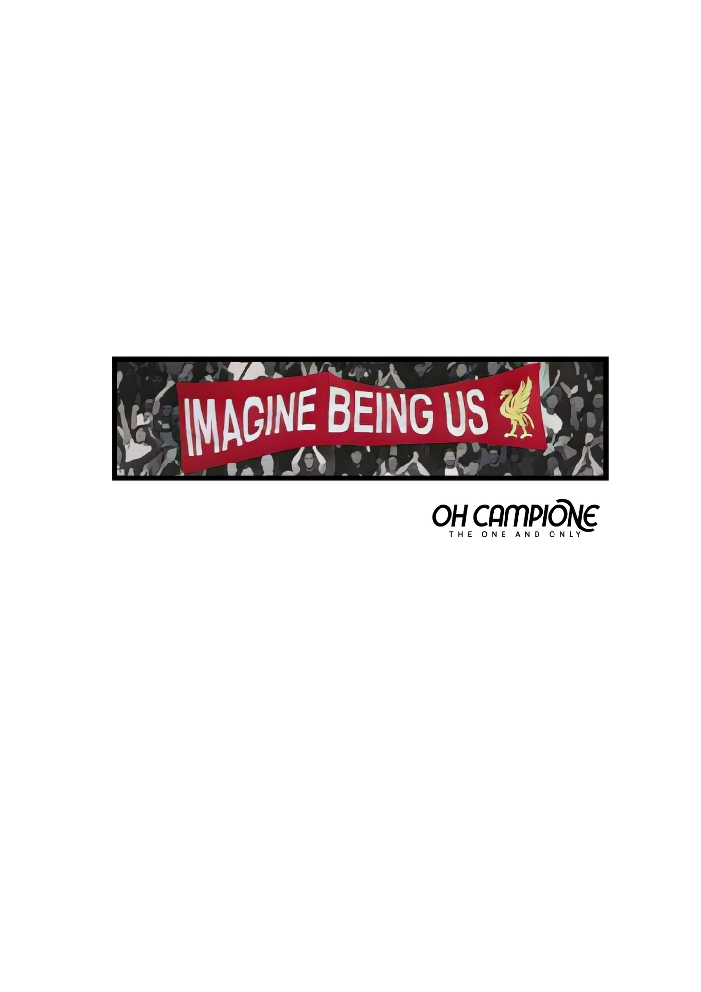 IMAGINE BEING US Hoodie